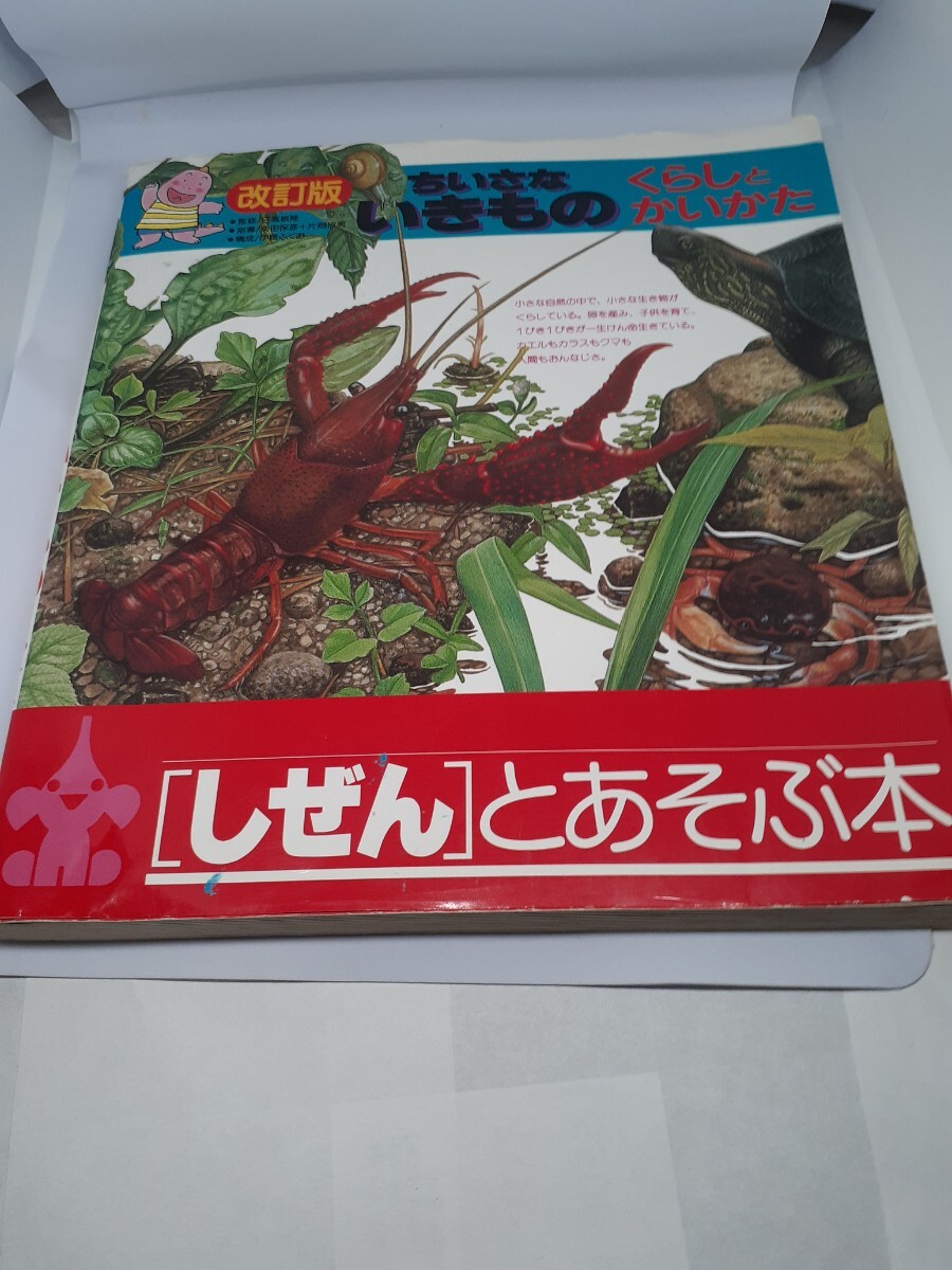 ちいさないきもの くらしとかいかた (いきもののくらしとかいかたシリーズ 2) (改訂版) 日高敏隆/監修拍卖