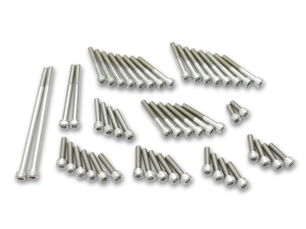 ■81-2010 Z/KZ ステンレスエンジンカバーボルト (Z1/Z2/ZI/ZII/Z750/Z900/Z1000/A4/A5/D1/MK-2/FX-1/レストア拍卖