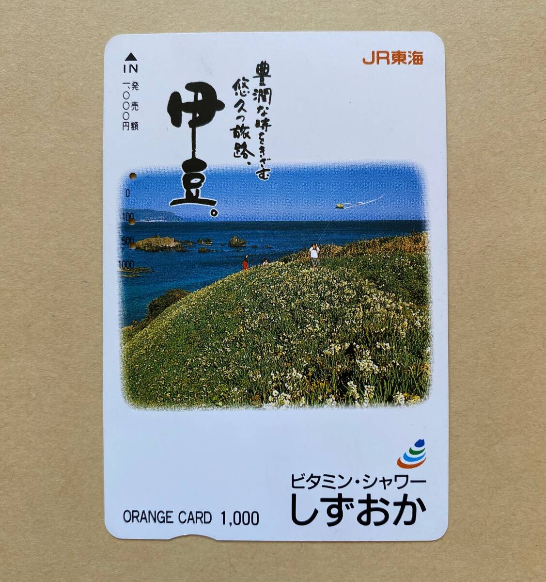 【使用済】 オレンジカード JR東海 豊潤な時をきざむ悠久の旅路 伊豆 ビタミン・シャワー しずおか拍卖
