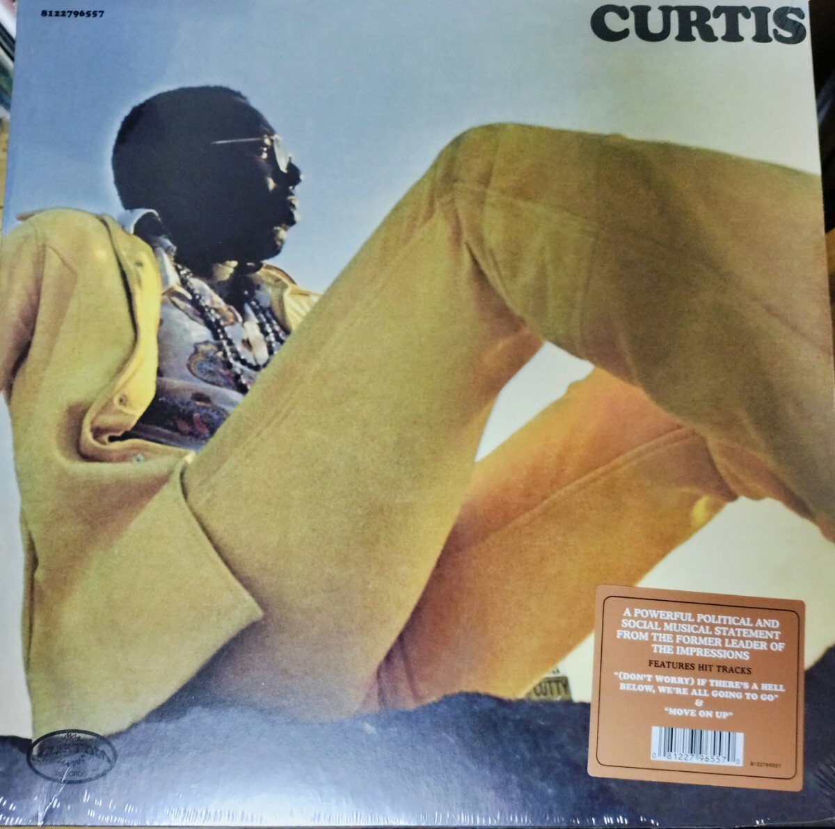 LP カーティスメイフィールド Curtis Mayfield レコード 新品拍卖