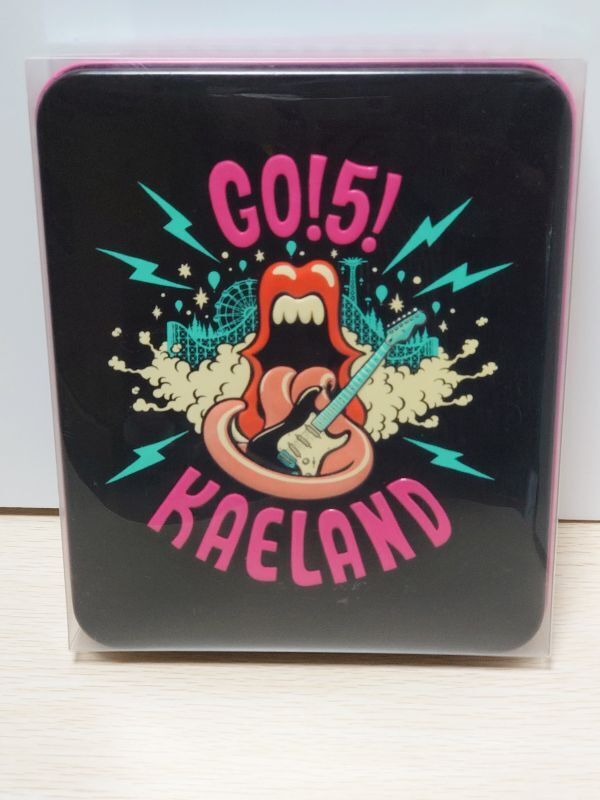 153 完全生産限定版 5,555セット 木村カエラ GO! 5! KAELAND DVD PREMIUM BOX 特典全てあり USBメモリー ステッカー 等 希少 レア拍卖