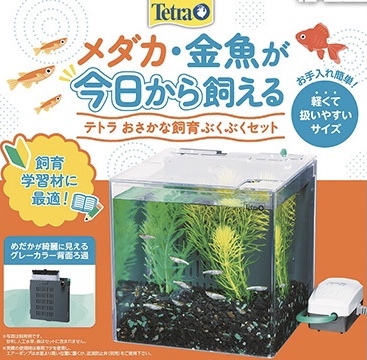 テトラ おさかな飼育ぶくぶくセット☆エアーポンプ フィルター付き☆送料無料☆新品未使用☆SP-17BU☆メダカ 金魚 ベタ ザリガニ☆17×17拍卖