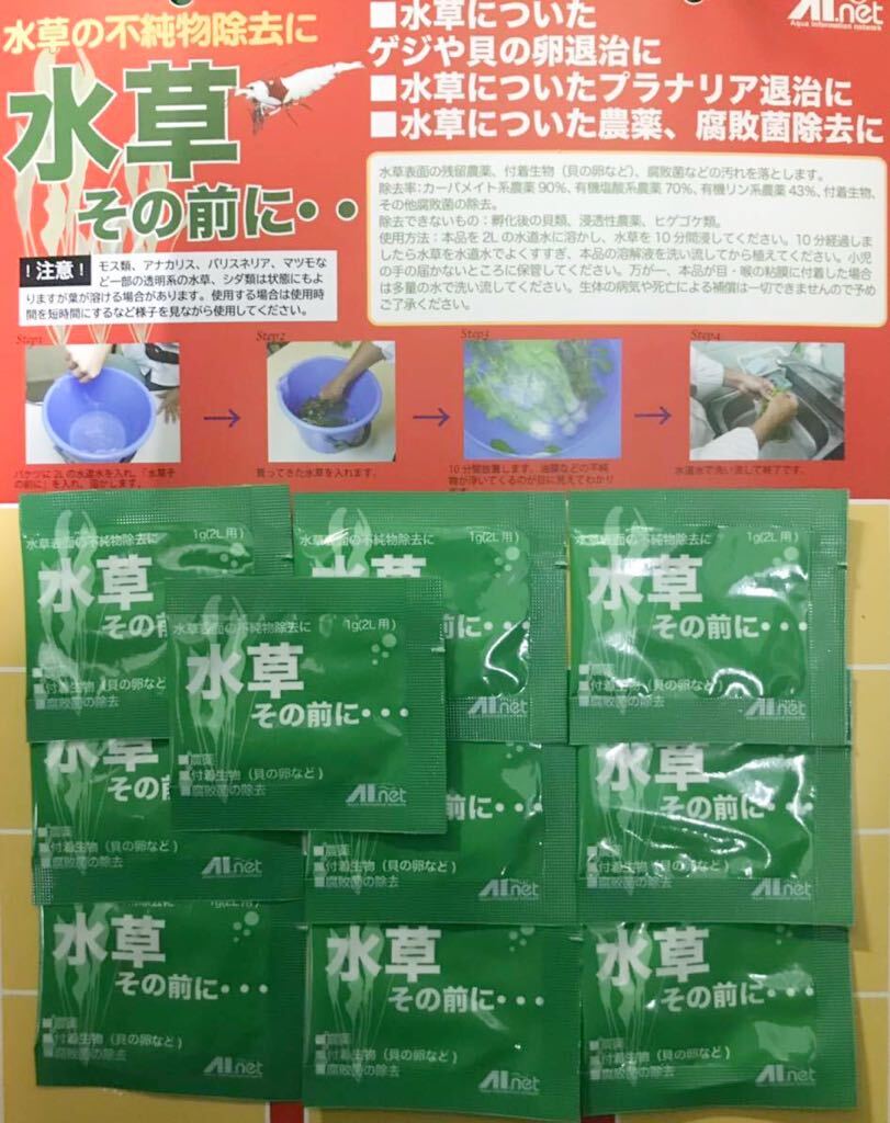 水草その前に1グラム×10袋(送料無料)農薬除去 巻貝 プラナリア混入防止 除菌(ビーシュリンプ エビ 熱帯魚 メダカ 金魚)AI net拍卖
