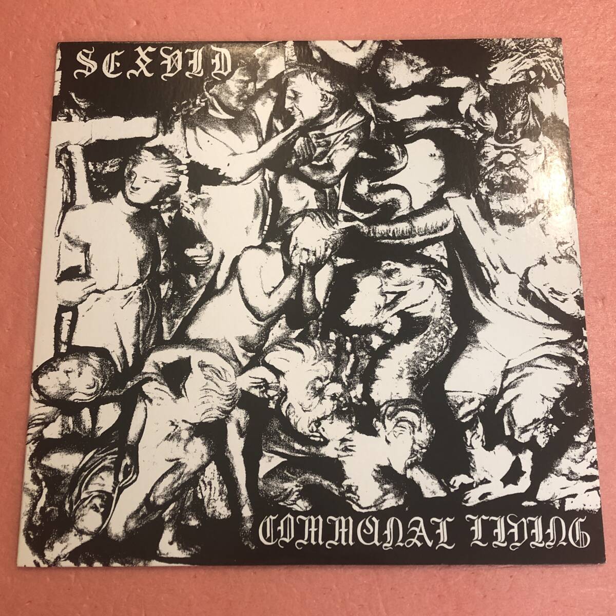 LP Sex Vid / Communal Living拍卖