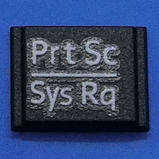 キーボード キートップ PrtSc SysRq 黒段 パソコン 富士通 FMV LIFEBOOK ライフブック ボタン スイッチ PC部品拍卖