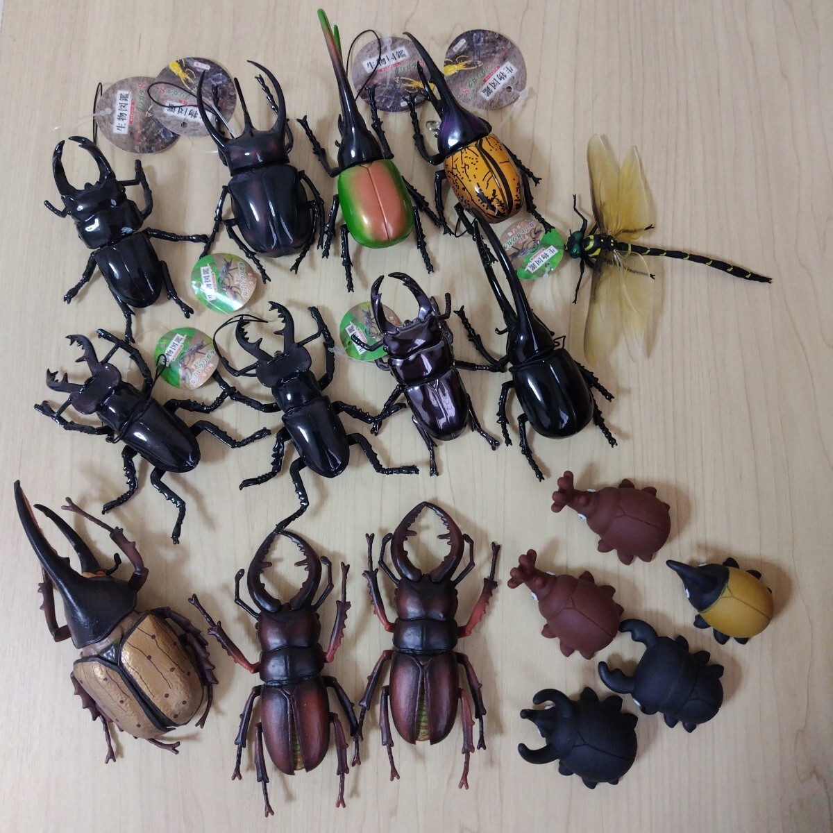 生物図鑑 リアル カブト クワガタ トンボ ヘラクレスオオカブト キーホルダー フィギュア ソフビ まとめて 昆虫 ★非売品・未使用★拍卖
