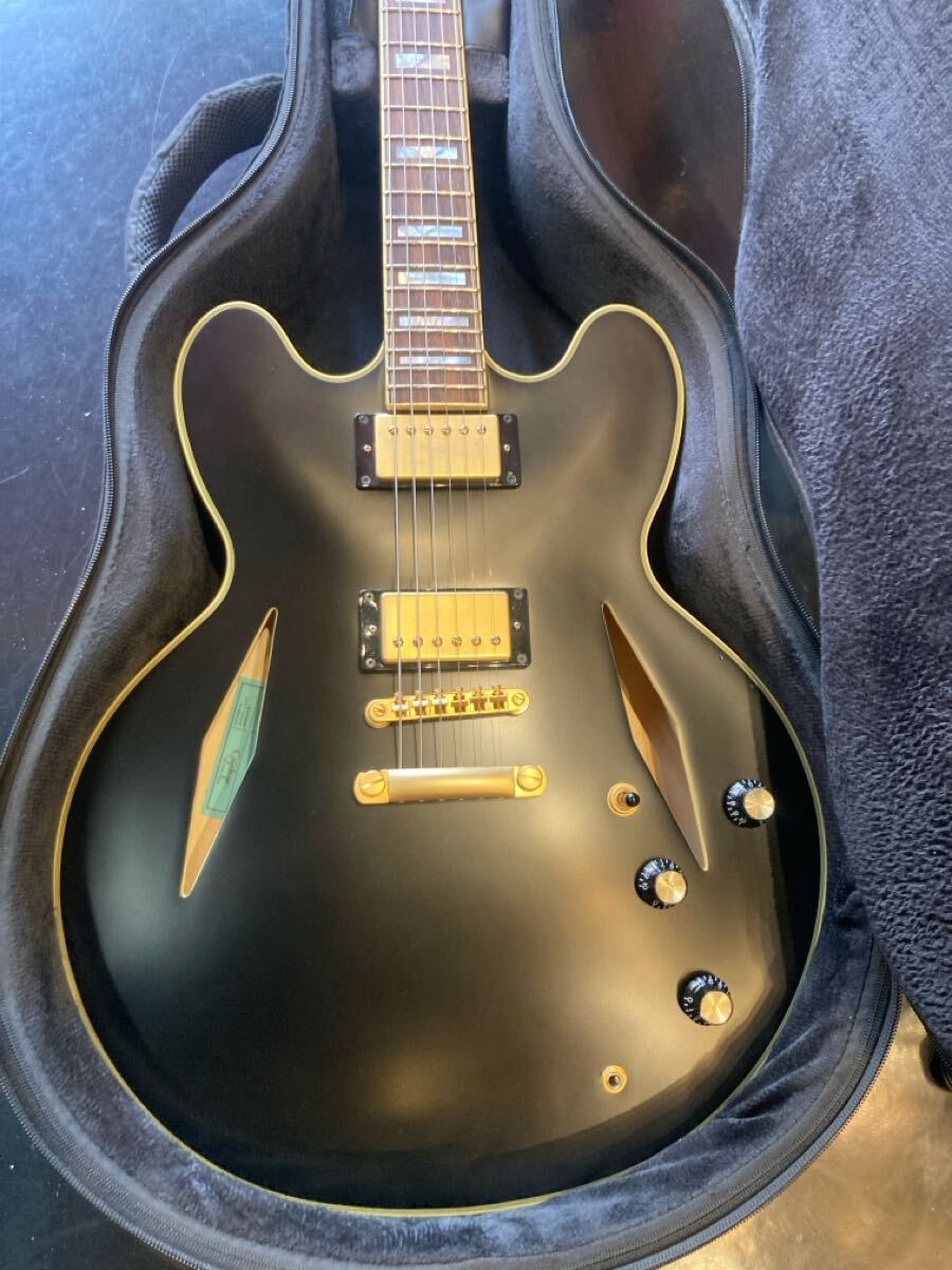 Epiphone Emily Wolfe Sheraton Stealth エピフォン エミリーウルフ シェラトン拍卖