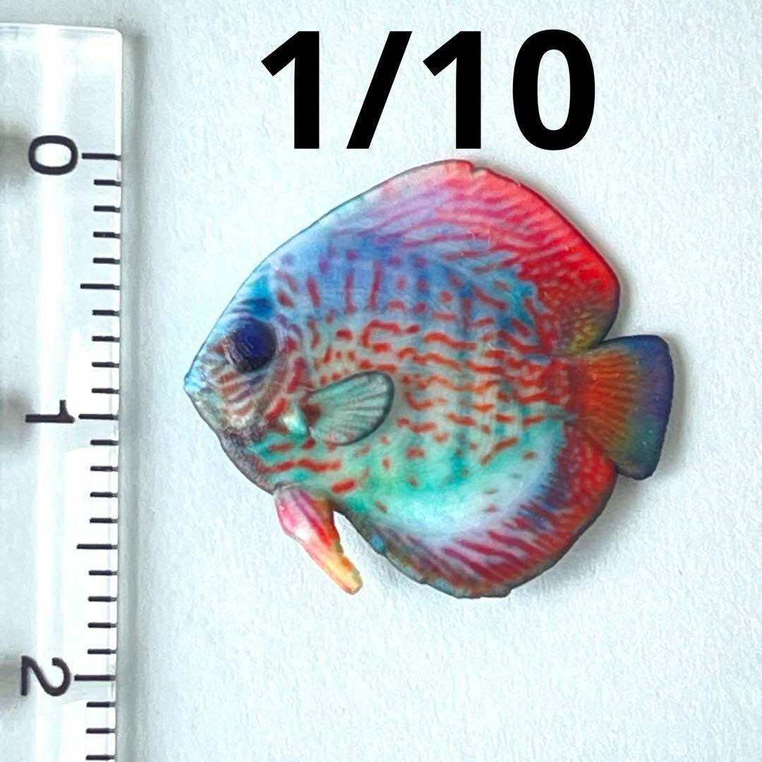 1/10 ミニチュア 熱帯魚 ディスカス フィギュア 魚 完成品 1/64より大 ミニチュアイメージ ドールハウスに 魚 3Dフィギュア拍卖