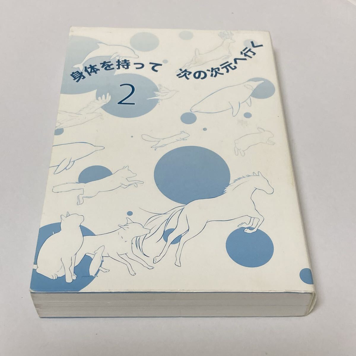 身体を持って次の次元へ行く 2 ミナミAアシュタール 著拍卖