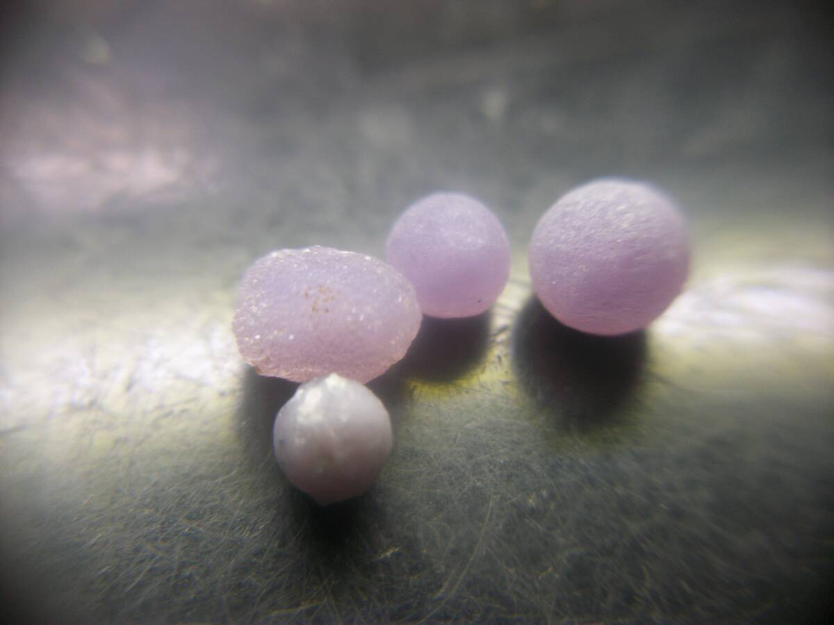 インドネシア グレープカルセドニー ぶどう状玉髄 単結晶 セット 定型外発送拍卖