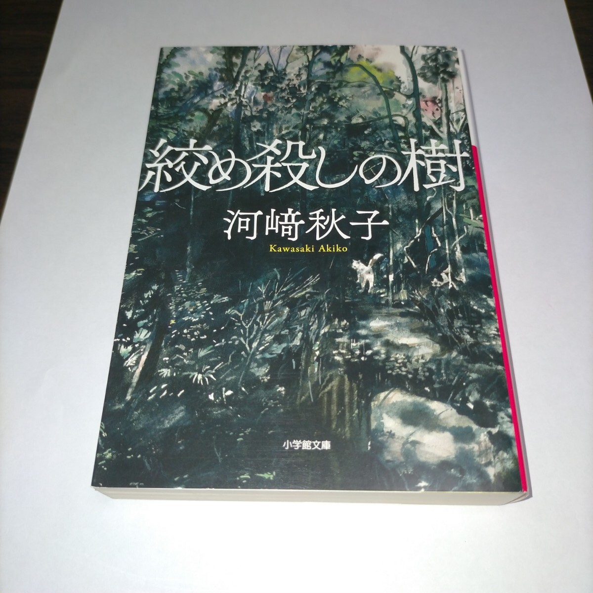 絞め殺しの樹 (小学館文庫 か58-1) 河崎秋子/著 保管p拍卖