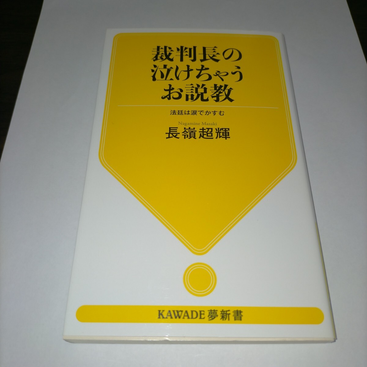 裁判長の泣けちゃうお説教 法廷は涙でかすむ (KAWADE夢新書 S446) 長嶺超輝/著 保管x拍卖