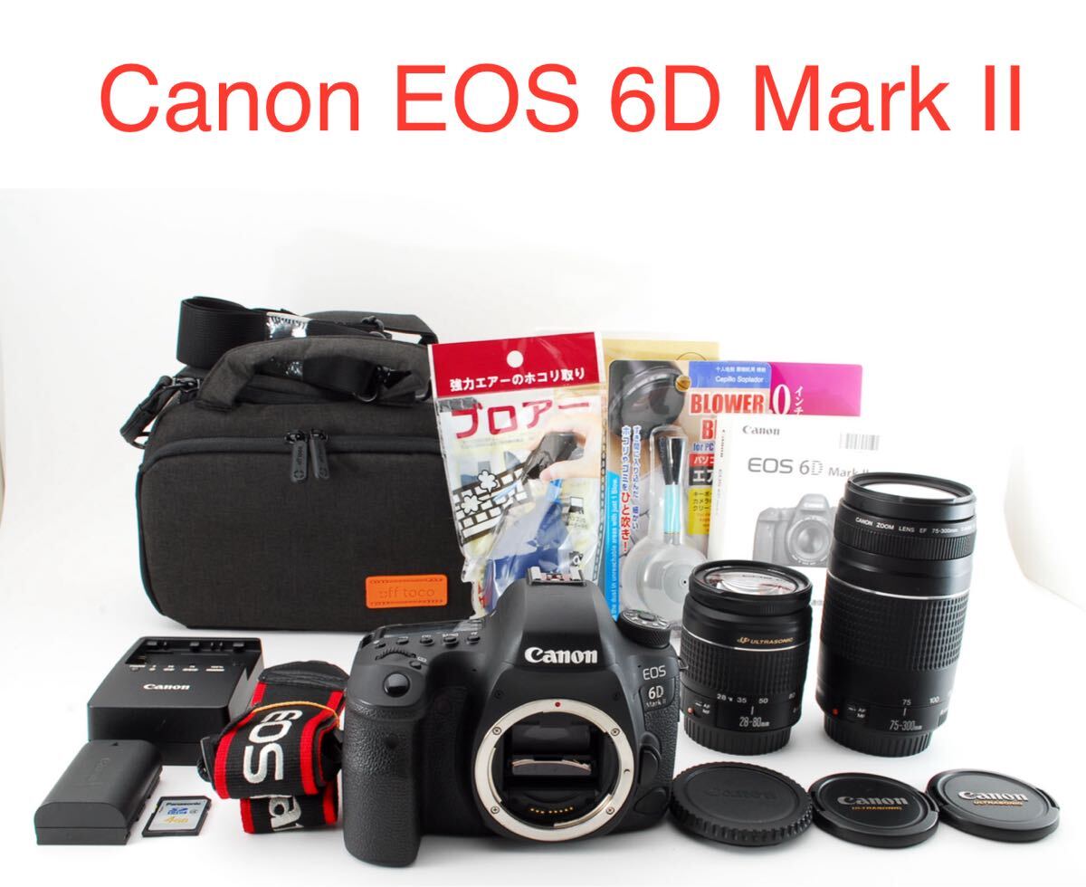 Canon EOS 6D Mark II標準&望遠ダブルレンズセット28-80㎜1:3.5-5.6V USM/EF 75-300mm 1:4-5.6III拍卖