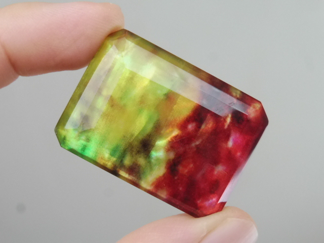 実物のほうが綺麗!アンモライト 約55ct ルース 裸石 オリジナルジュエリーに!拍卖