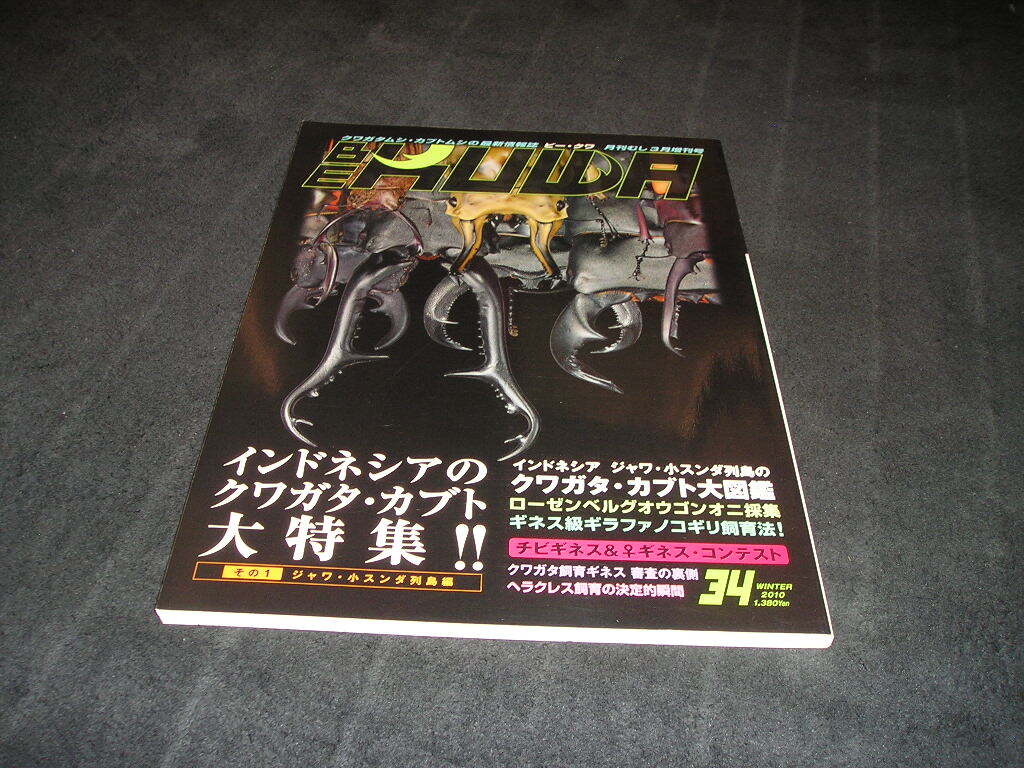 ビークワ BE-KUWA No.34 インドネシアのクワガタ・カブト大特集!!拍卖