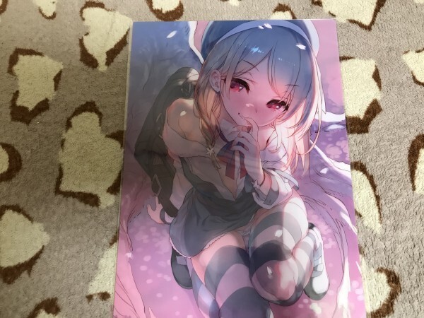 d053クリアファイル 畳と桧) COMIC1☆15/WASABI拍卖