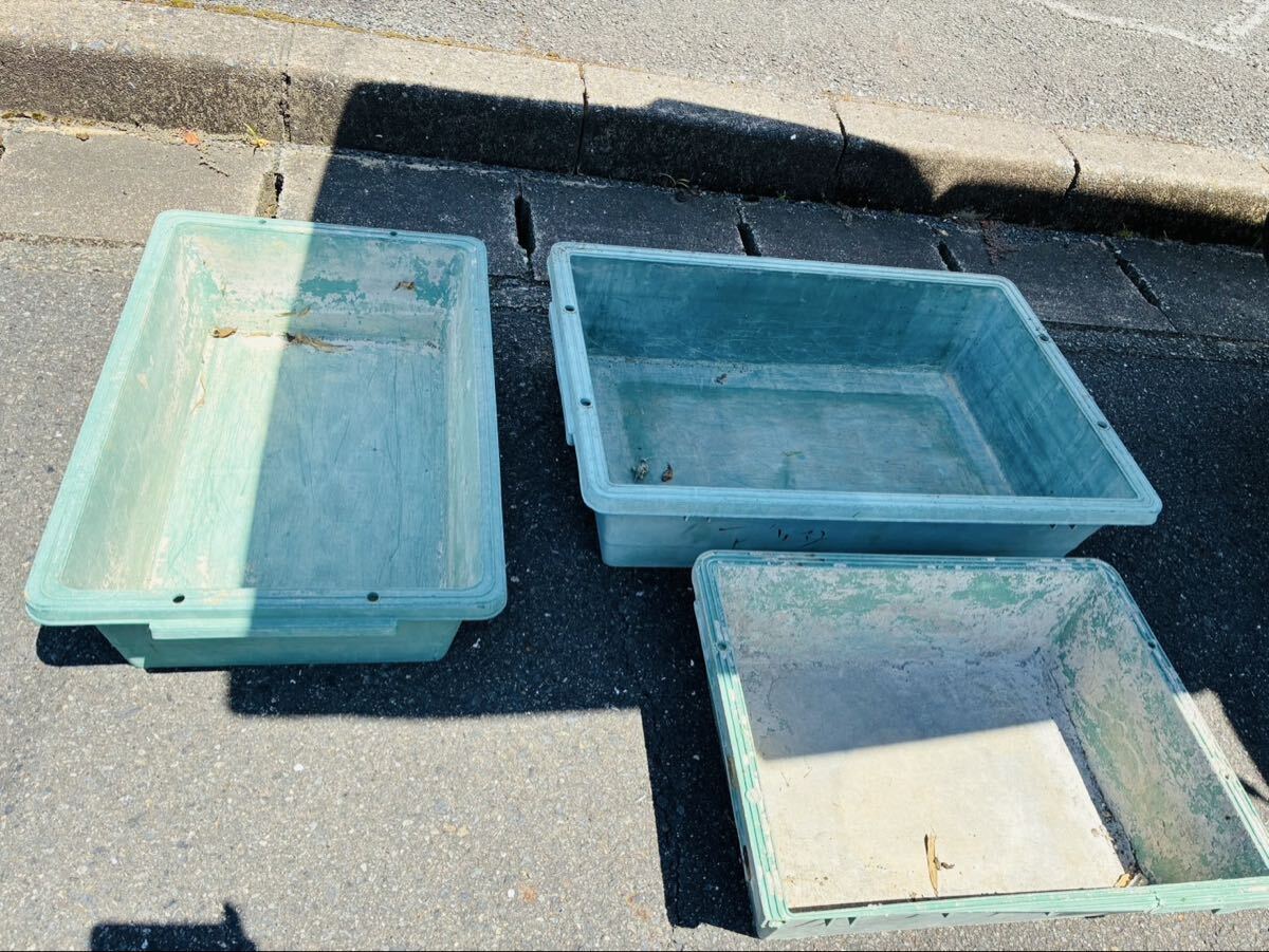 プラ舟 トロ舟 メダカ らんちゅう 3個セット ケース ハード ボックス 収納拍卖