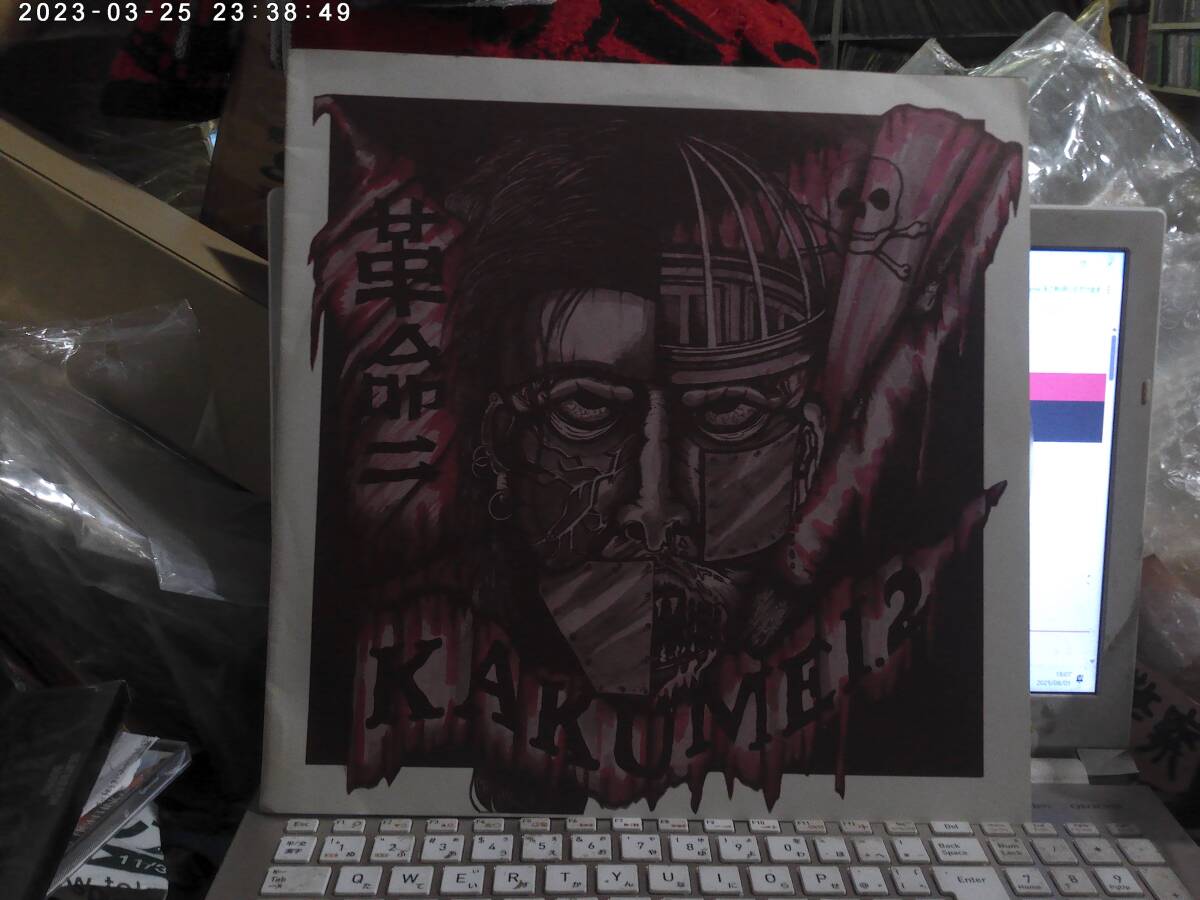 V.A. / 革命二 KAKUMEI.2 LP ASSFORT NESSUN DORMA COX-ORANGE FUCK GEEZ MISERY F.V.K. SPERMBIRDS DON DON IDORA MCR COMPANY拍卖