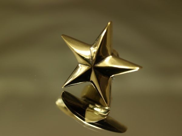 真鍮製ナンバーボルト★スター★星★大サイズ★全車種対応★軽~普通車~バイクまで★残僅か拍卖