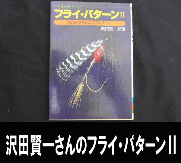 ■フライ・パターンⅡ 沢田賢一郎著 送料:郵便局ゆうパケット310円/幅2㎝拍卖