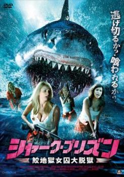 シャーク・プリズン 鮫地獄女囚大脱獄【字幕】 レンタル落ち 中古 DVD ホラー拍卖