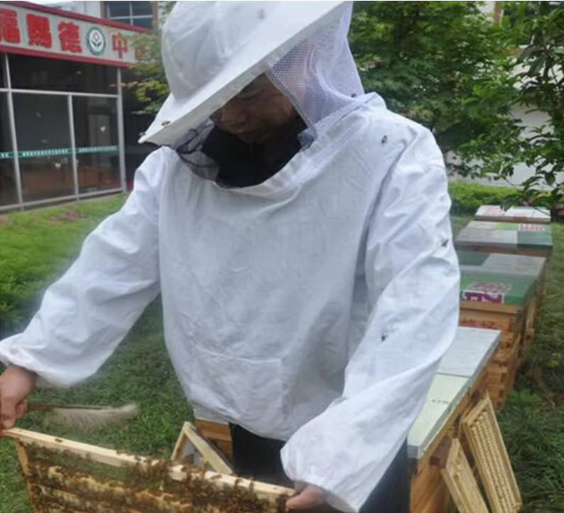 Wp1620: 蜂 ミツバチ 防護服 養蜂 ハチ ハチの巣 作業服 帽子 巣箱 蜂蜜 駆除 害虫駆除 虫よけ 顔ガード フード 蜂の巣 白色 服 コート拍卖