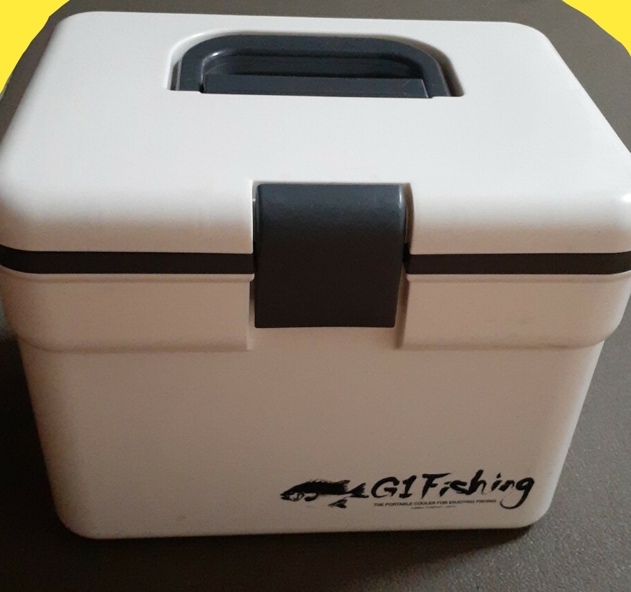 保冷ボックス 小型クーラーボックス 8L おまけ付き!アウトドアなど拍卖