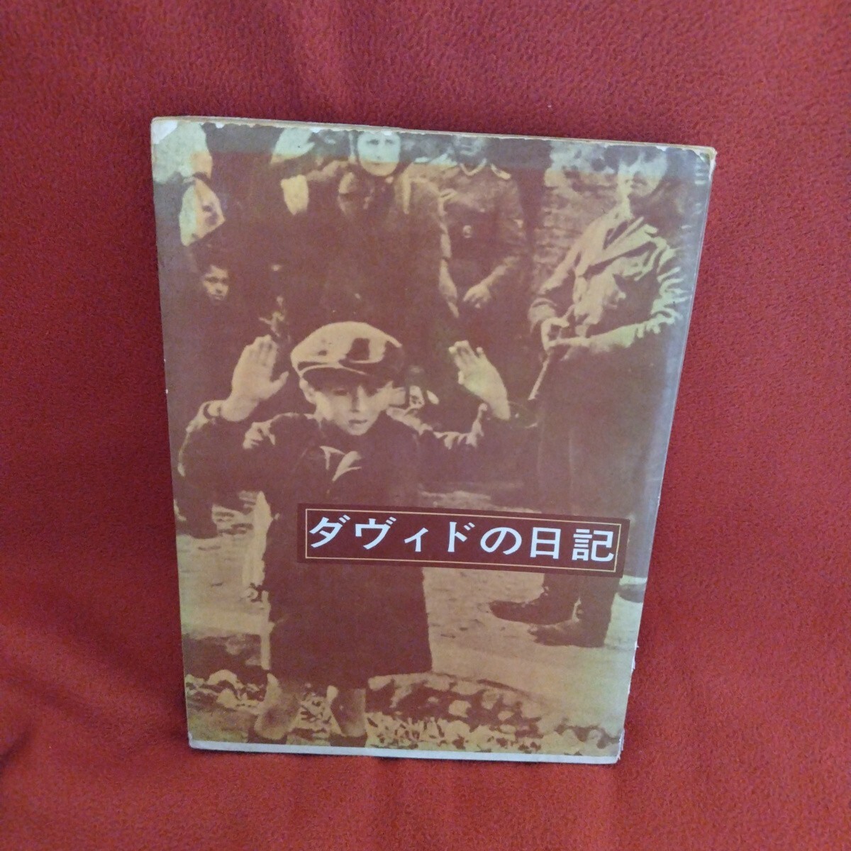 ダヴィドの日記 1961年初版 ユダヤ人 ホロコースト アウシュヴィッツ拍卖
