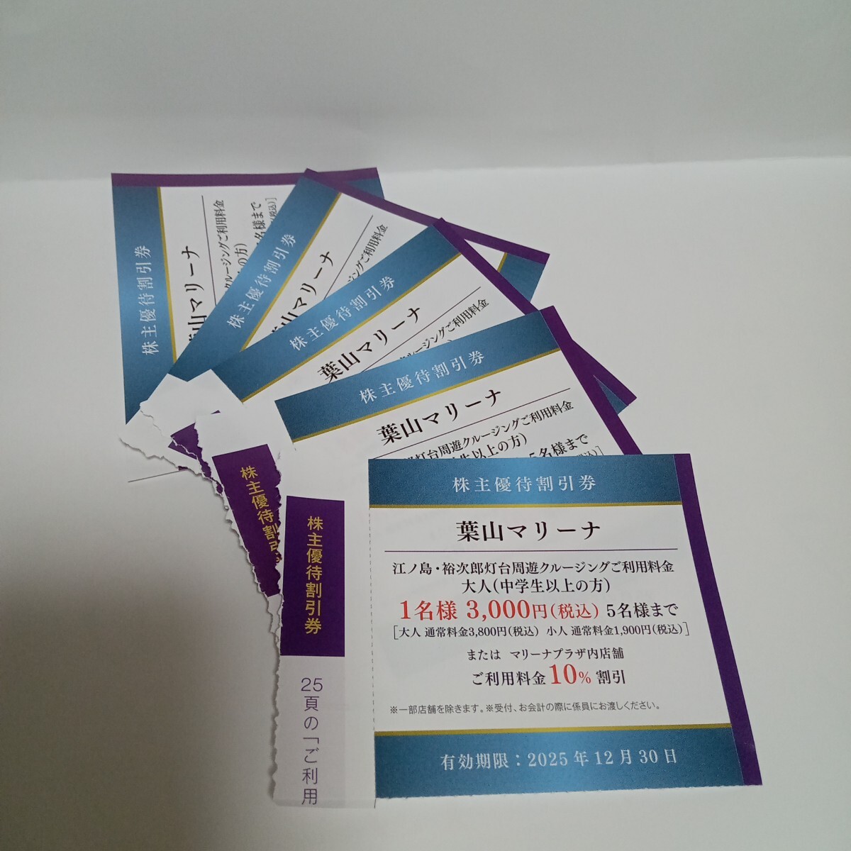 1枚(他に数枚有) 12/30迄★葉山マリーナ 江ノ島 裕次郎灯台周遊 クルージング 5名迄 割引券(大人1名に未就学児1人無料) 京急 株主優待拍卖