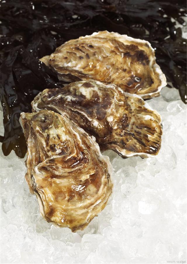 業務用 カキ 殻付かき 10粒 国内産 牡蠣 かき 大人気 高品質 広島県 岩手県拍卖