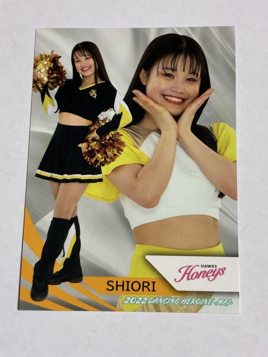SHIORI 2022 BBM チアリーダー 舞 #60 日本ハム FIGHTERS GIRL ソフトバンク Honeys 鈴木志織 即決拍卖