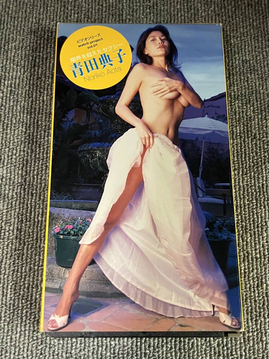 ak01904 青田典子 watch project Vol.01 英知出版 VHS お宝ビデオ拍卖