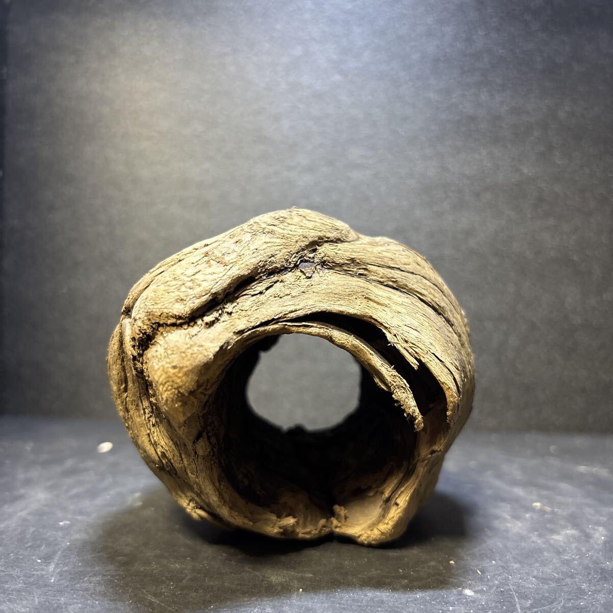 ☆sea tree☆送料無料♪♪煮沸消毒済み流木 1678流木/水槽/アクアリウム/テラリウム/インテリア/ADA/サンゴ/置物/拍卖