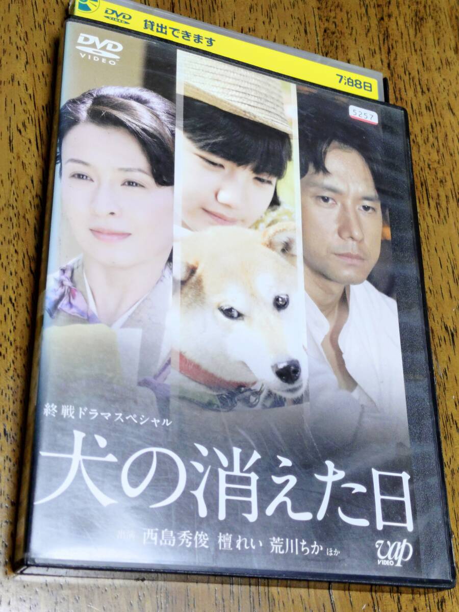 ◎DVD 終戦ドラマスペシャル「犬の消えた日」 西島秀俊/荒川ちか/檀れい/りりィ/仲野太賀/須賀健太/和田聰宏/松尾スズキ R落拍卖