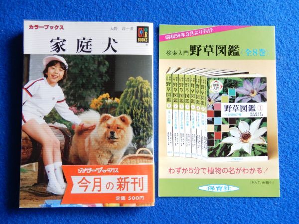 ★2 家庭犬 大野淳一 / 保育社カラーブックス642 昭和59年 初版,ビニールカバー,帯付 家庭犬として愛されている97種拍卖