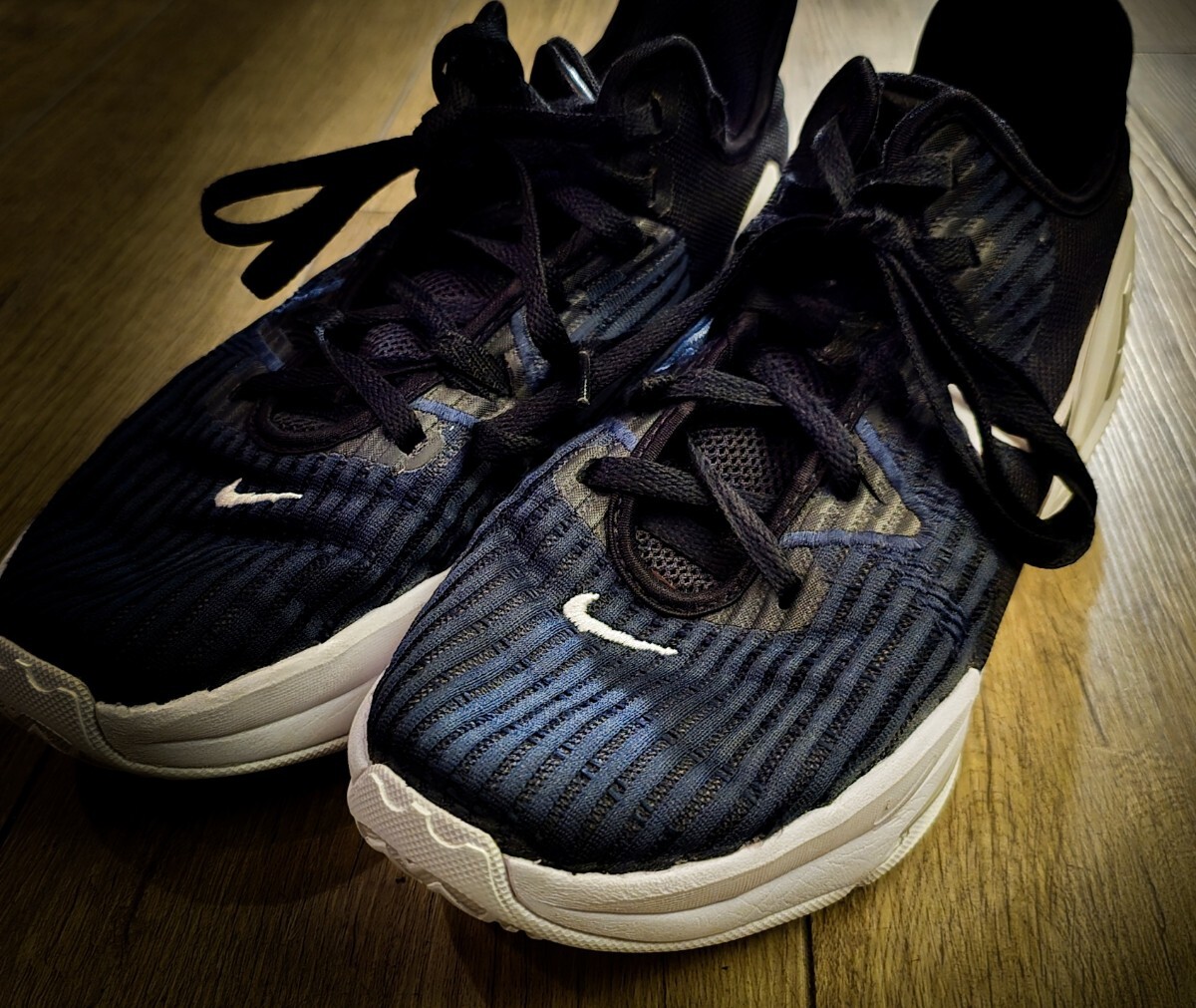 ナイキ NIKE バッシュ レブロン ウィットネスVI EP 27cm ネイビー拍卖