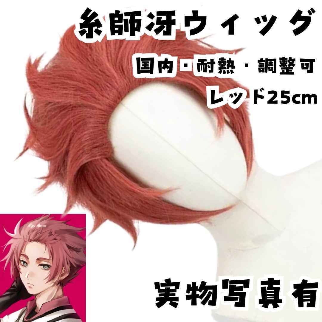 糸師冴 ウィッグ ブルーロック 耐熱調整可 レッド 国内25cm【残3】拍卖