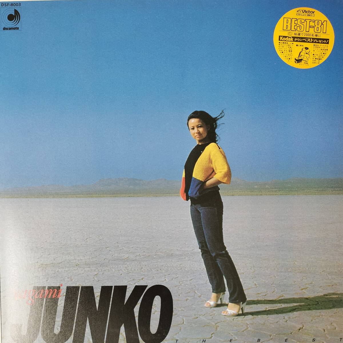 55469 八神純子 / THE BEST カラーピンナップ付属拍卖