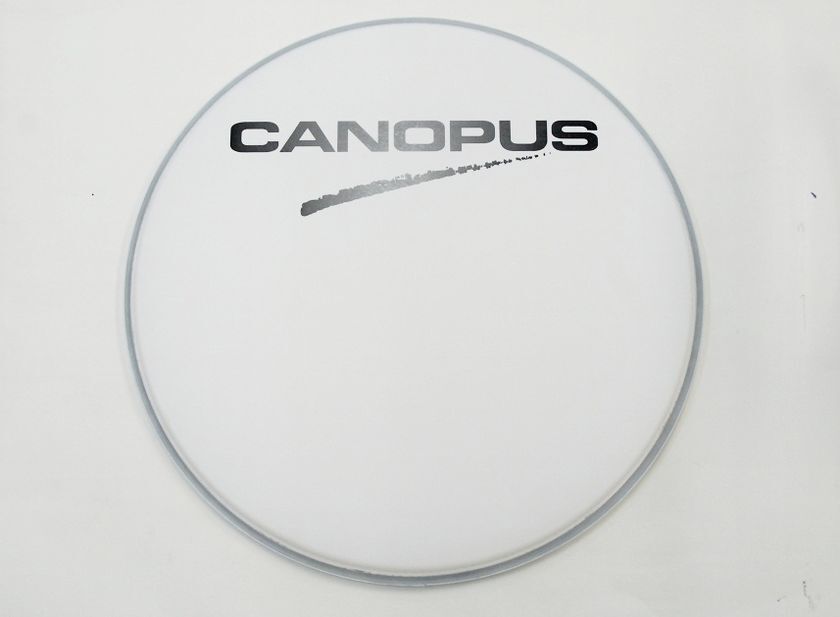 CANOPUS カノウプス ドラムヘッド COATED REGULAR 18BD拍卖