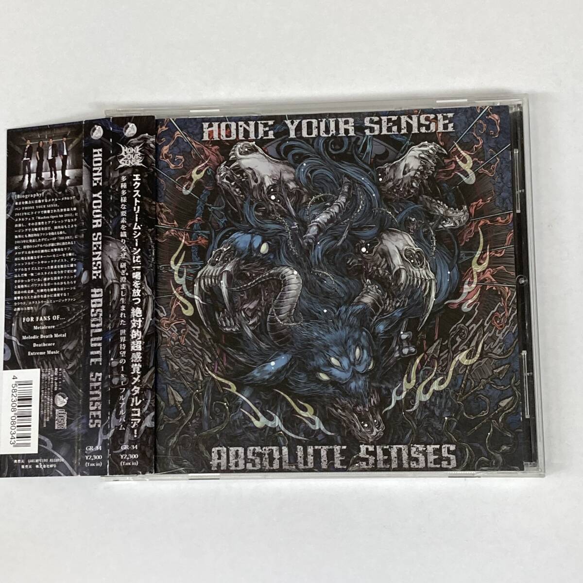 HR1037 CD *HONE YOUR SENSE* ABSOLUTE SENSES *ケース割れあり拍卖