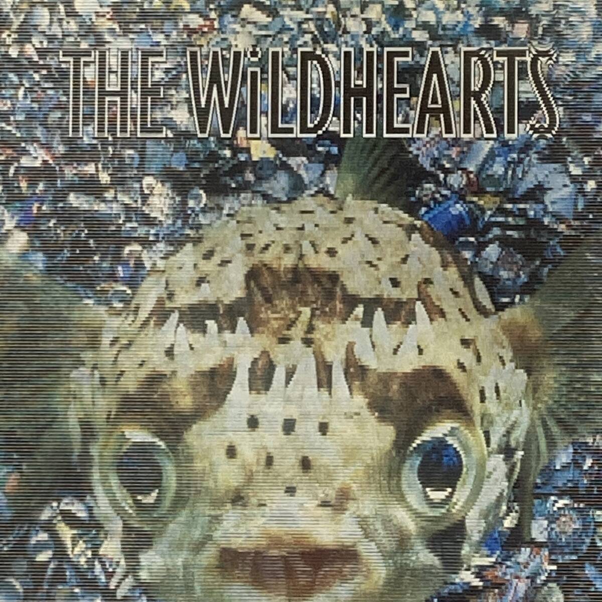 HR1090 CD *THE WILDHEARTS* FISHING FOR LUCKIES拍卖