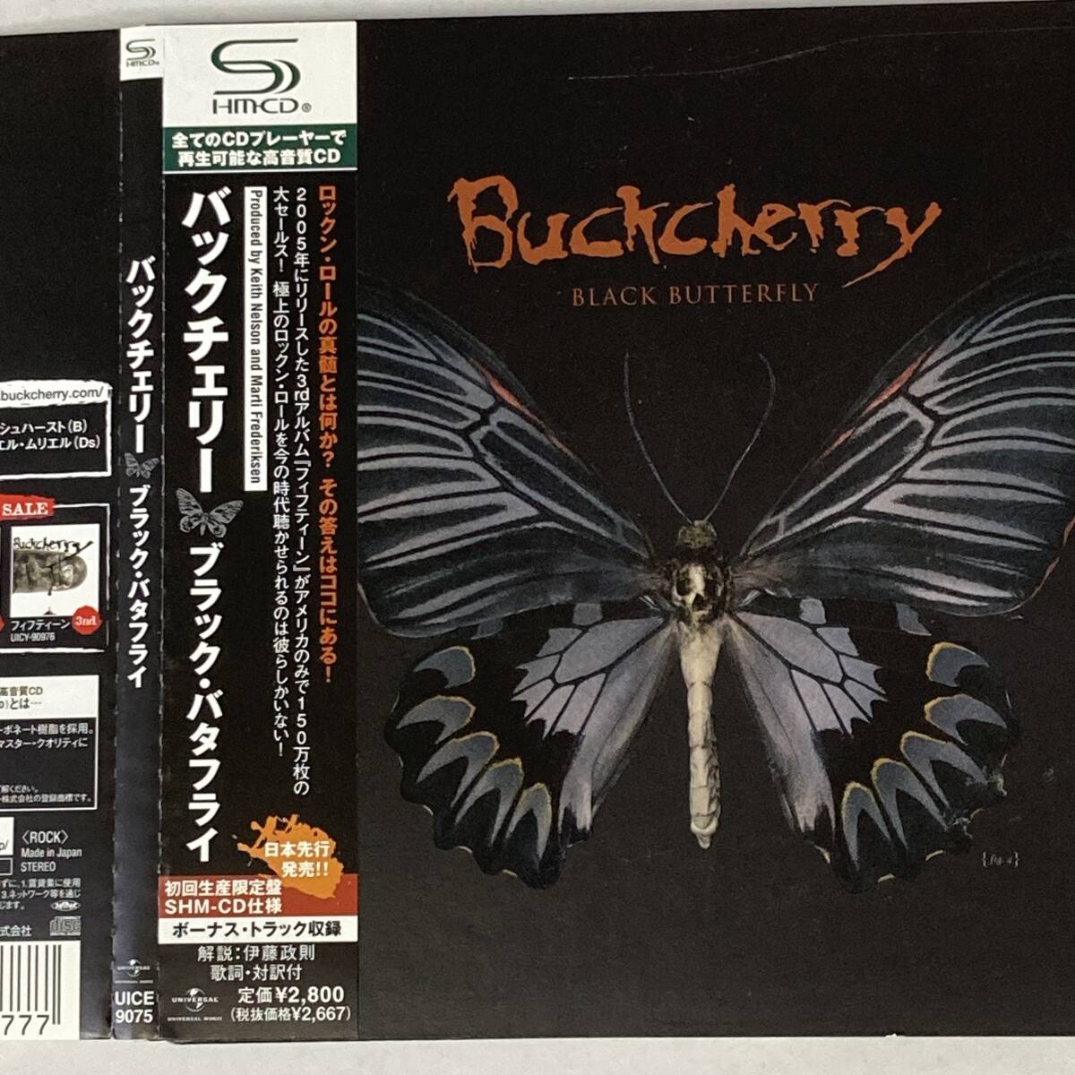 HR1134 CD *BUCK CHERRY* BLACK BUTTERFLY 帯付拍卖