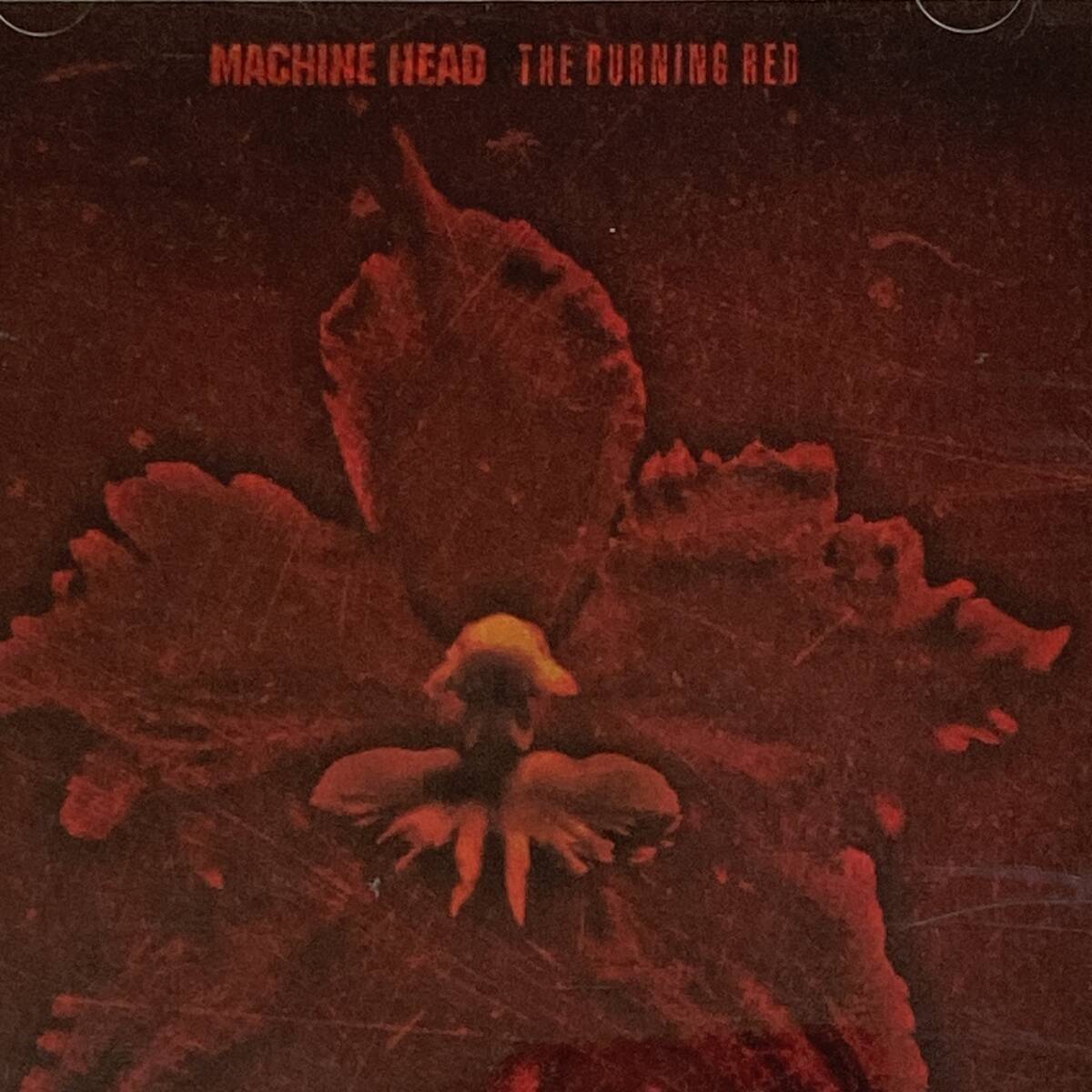 HR1199 CD *MACHINE HEAD* THE BURNING RED拍卖