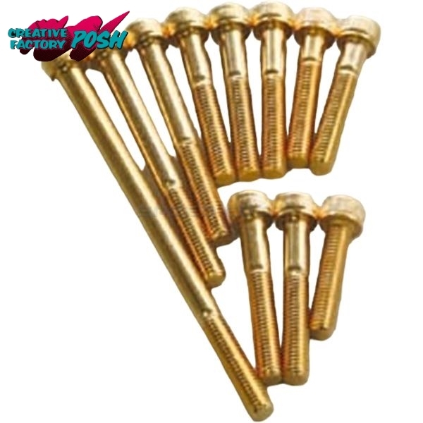 在庫あり CF POSH CFポッシュ 811710-025 ステンレスキャップボルト 24Kメッキ M5X25(2本入)拍卖