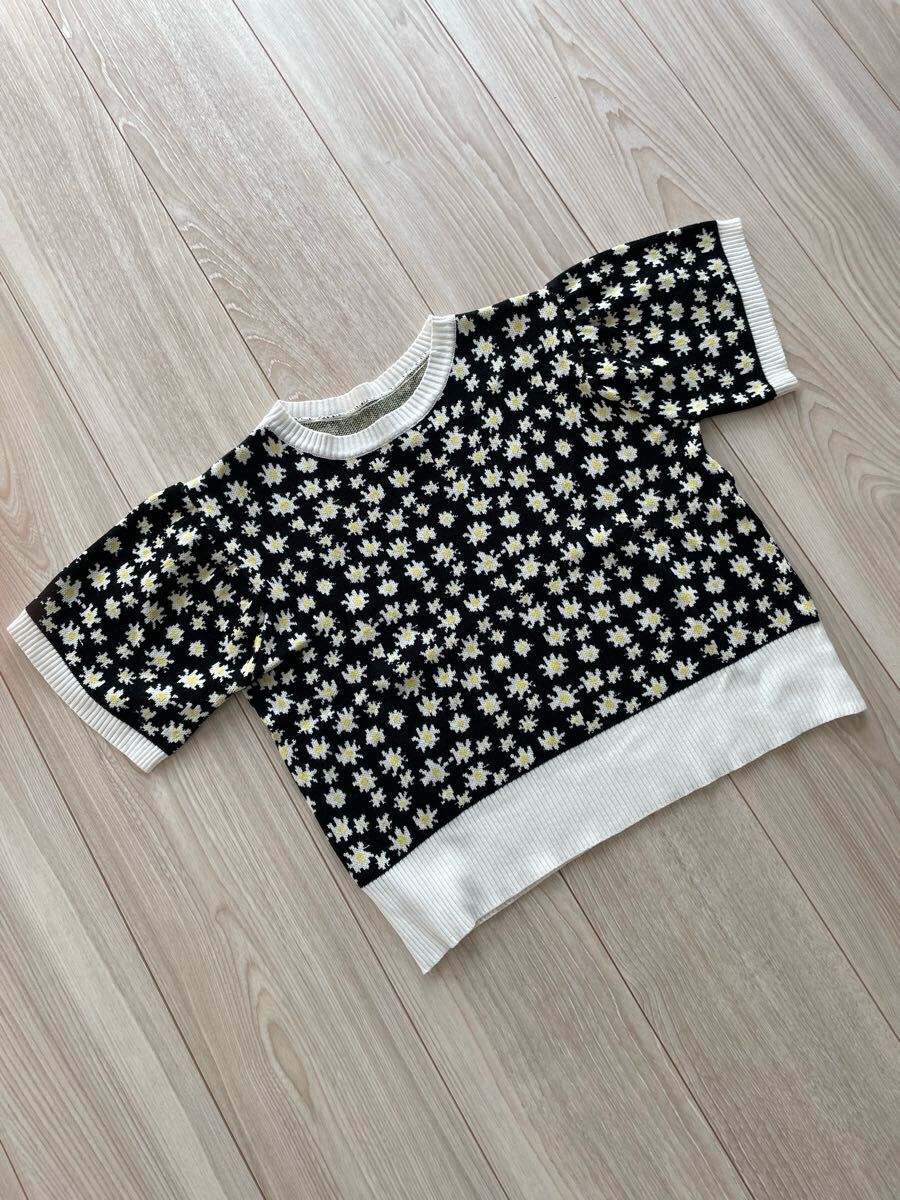 ★美品★DHOLIC ディーホリック★ニット★半袖★Mサイズ (中古)拍卖