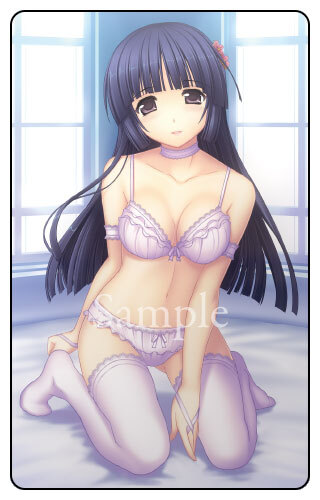 マブラヴ オルタネイティヴ クロニクルズ04 ソフマップ特典 B2タペストリー拍卖