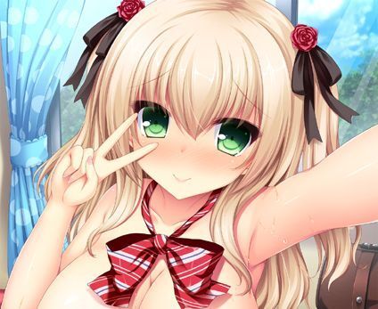 リアルエロゲシチュエーション! H×3 ソフマップ特典 B2タペストリー拍卖