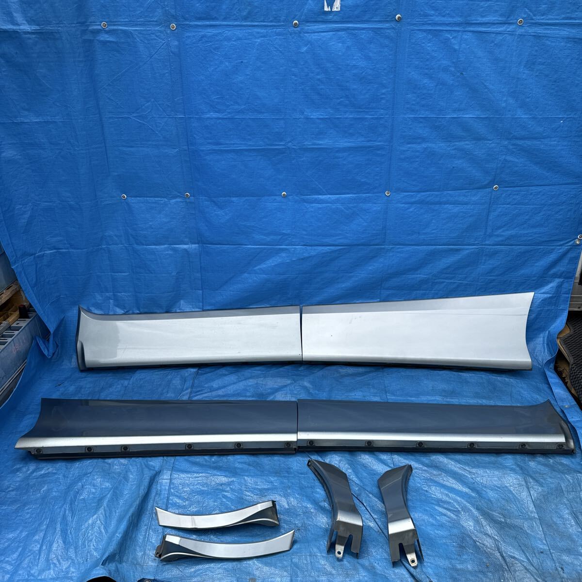 ◆トヨタ エスティマ《ACR50 ACR55 GSR50 AHR20》純正 ドアプロテクター サイドパネル ドアパネル マッドガード 1台分 カラー 1F8 ◆拍卖