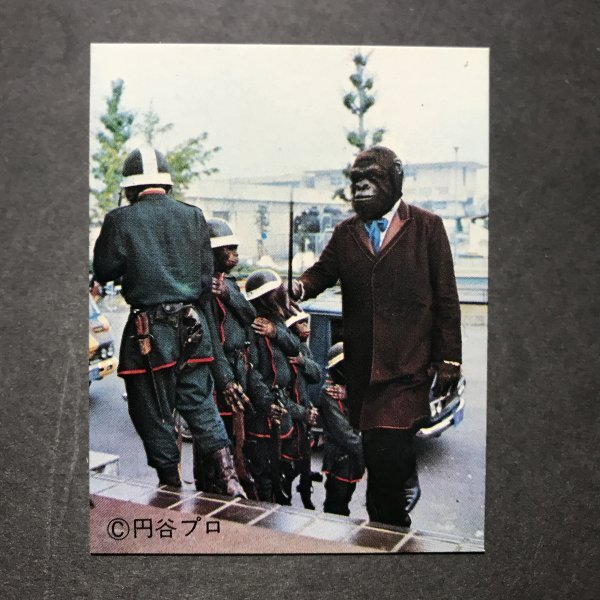 ★昭和当時物! ミニカード 猿の軍団 51番 駄菓子屋 昭和 レトロ -LSA82拍卖