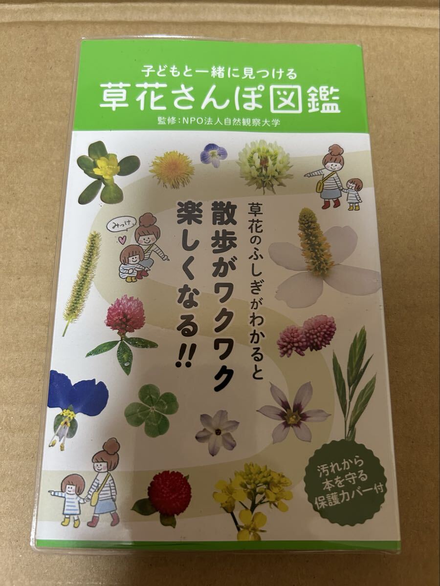 ◆送料無料 即決 初版◆子どもと一緒に見つける 草花さんぽ図鑑◆自然観察大学拍卖